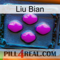 Liu Bian 04